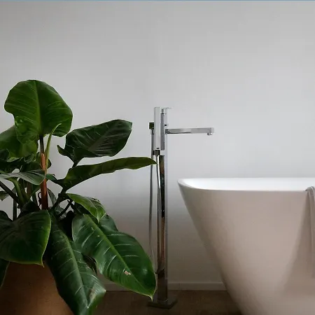 Couette-café The Greenhouse 2*