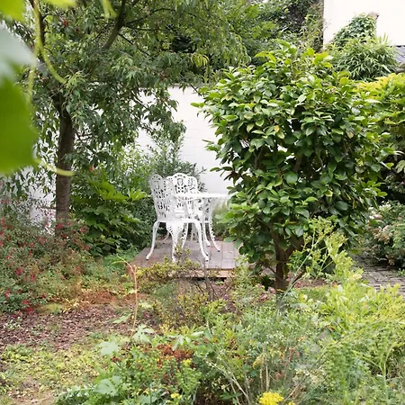 Couette-café The Greenhouse 2*